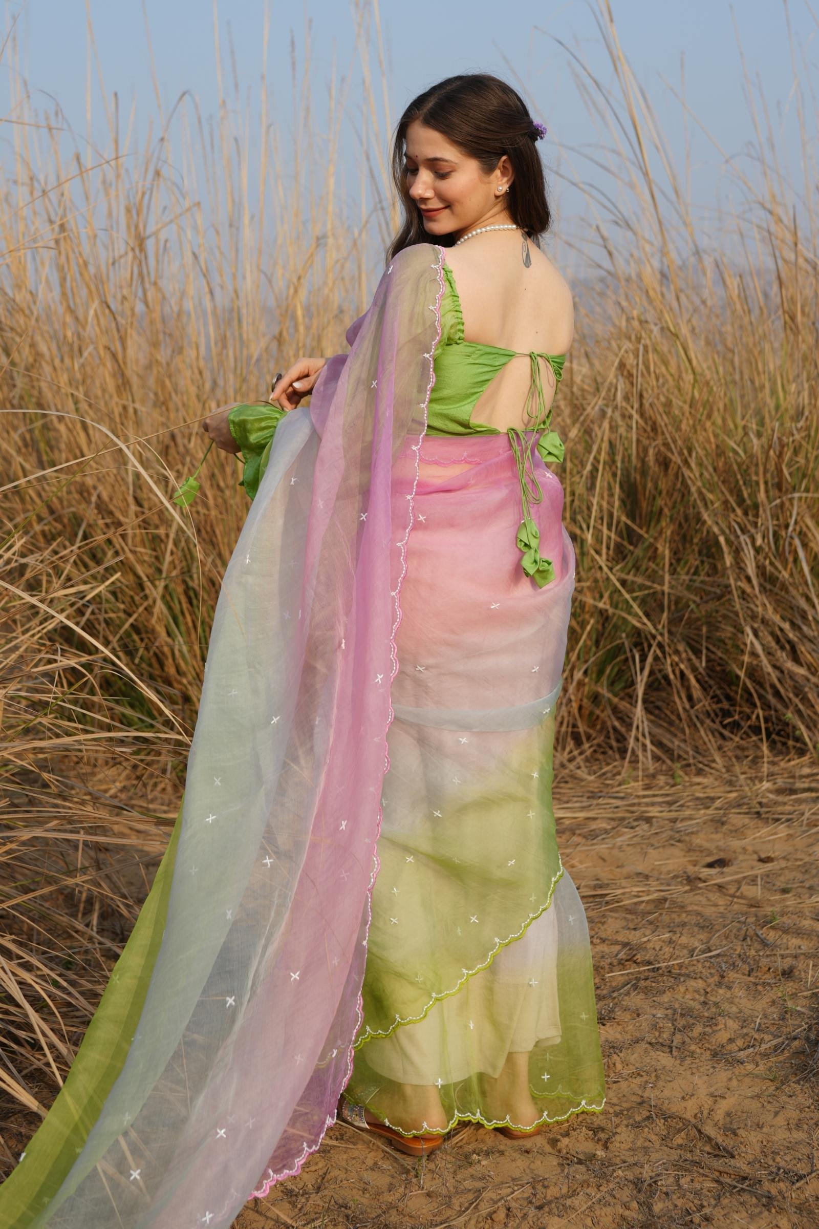 Back View of Ombre Saree and Back-Tie Blouse Detail