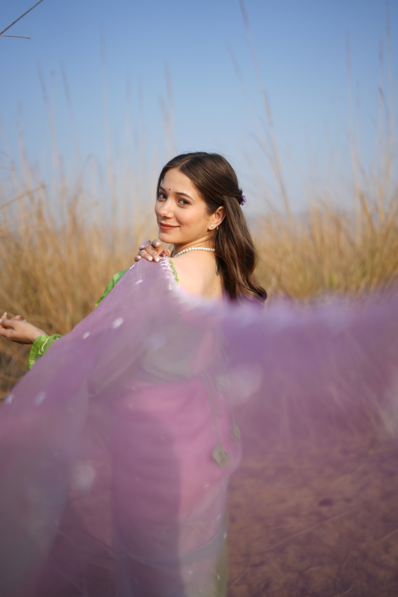 Flowing Ombre Organza Saree Pallu