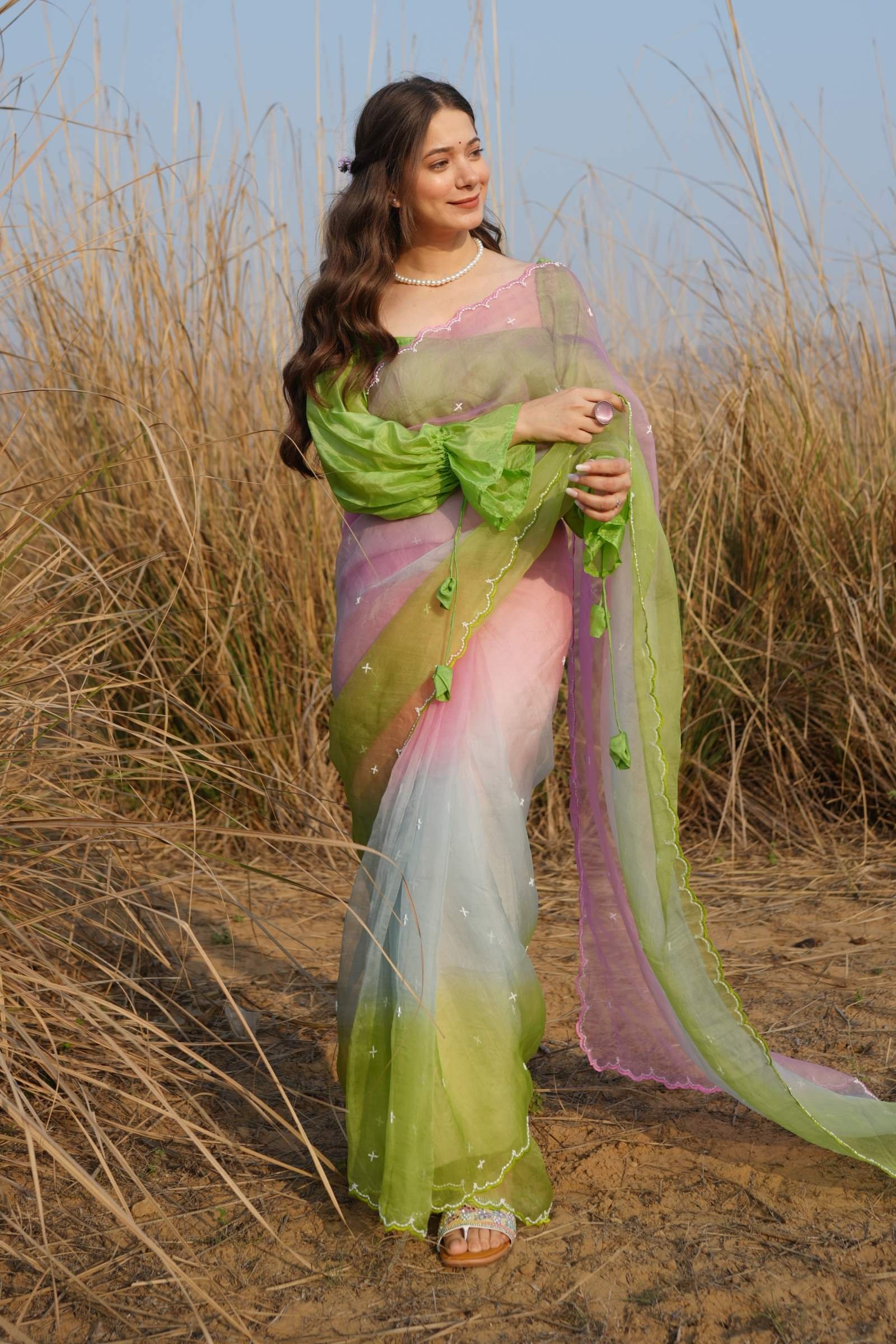 Full View of Rainbow Ombre Pure Organza Silk Saree