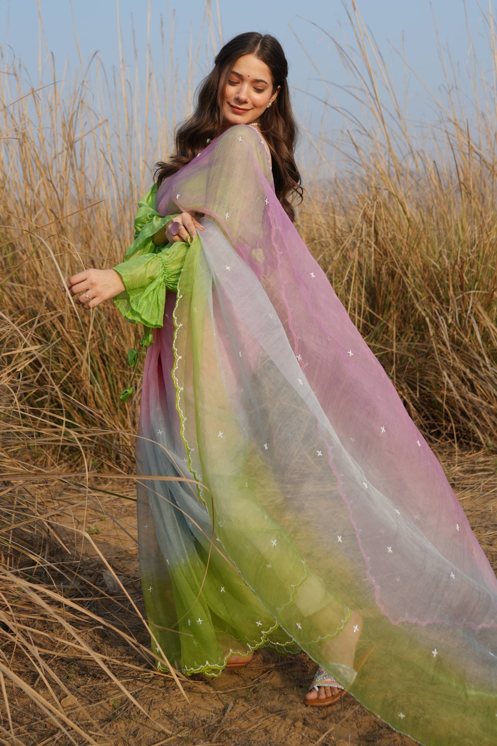 Side View of Ombre Organza Saree Drape and Silhouette